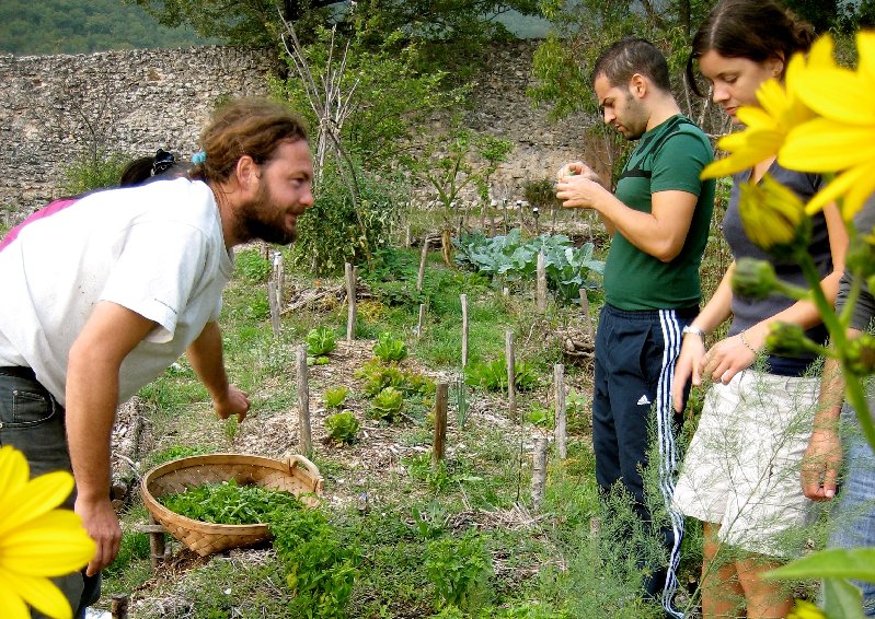 Farming Project in Italy