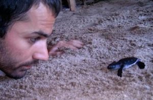 Sea Turtle Conservation in Mexico